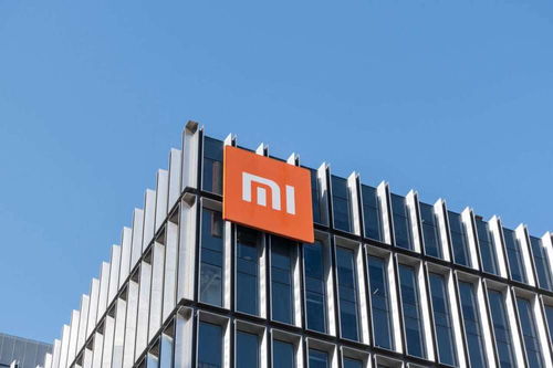 完善造車(chē)版圖,小米投資富特科技